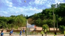 Tam Đại tổ chức giải bóng chuyền nữ