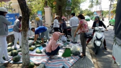 Đoàn xã Tam vinh phối hợp hỗ trợ nông dân bán dưa hấu  vụ Đông – Xuân 2018