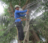 Đoàn xãTam Lộc: phối hợp thực hiện tốt mô hình thắp sáng đường quê