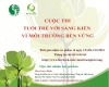 Hưởng ứng và tham gia cuộc thi “Tuổi trẻ với sáng kiến vì môi trường bền vững”