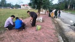 Huyện đàn Phú Ninh: ra quân tình nguyện "Ngày thứ 6 sạch"