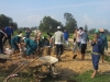 Đoàn xã Tam Đàn: tổ chức chiến dịch tình nguyện đắp bờ kè đập tại thôn Đàn Hạ
