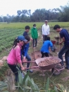 Đoàn xã Tam Thái: tổ chức ra quân tình nguyện